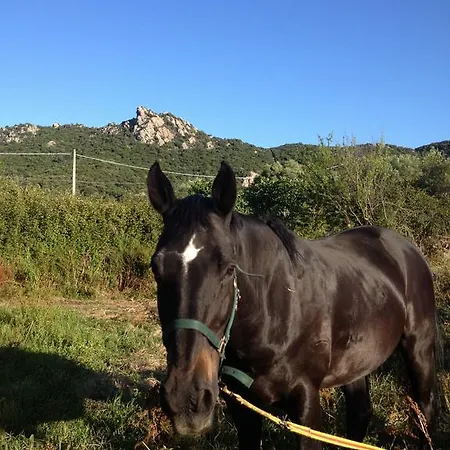 Agriturismo La Casa Delle Fate *