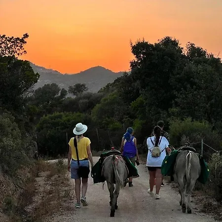 Agriturismo La Casa Delle Fate Loiri Porto San Paolo