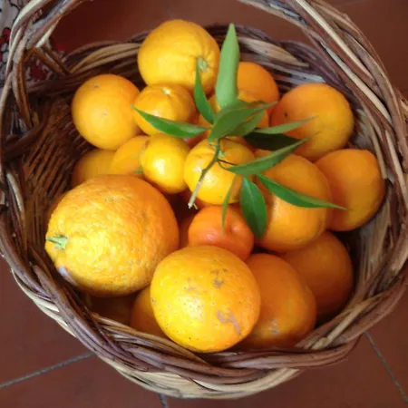 Agriturismo La Casa Delle Fate *