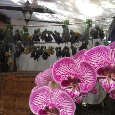 Gospodarstwo agroturystyczne La Casa Delle Fate