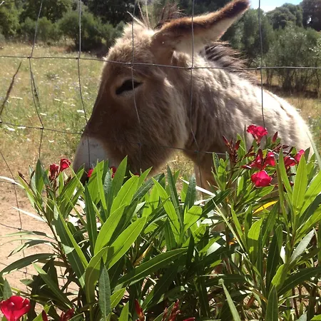 Agroturismo La Casa Delle Fate *