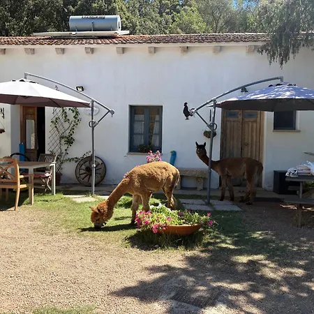 La Casa Delle Fate Loiri Porto San Paolo