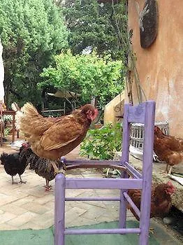 Gospodarstwo agroturystyczne La Casa Delle Fate *