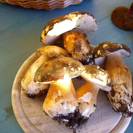 La Casa Delle Fate Gospodarstwo agroturystyczne *