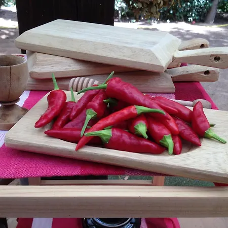 La Casa Delle Fate مزرعة للإقامة *