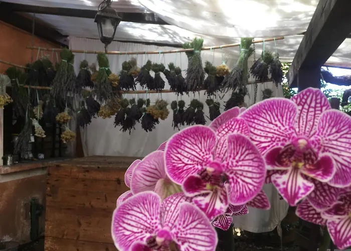Gospodarstwo agroturystyczne La Casa Delle Fate