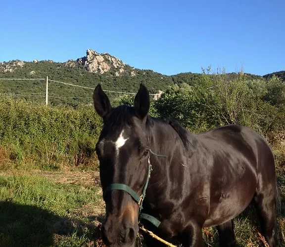 La Casa Delle Fate *
